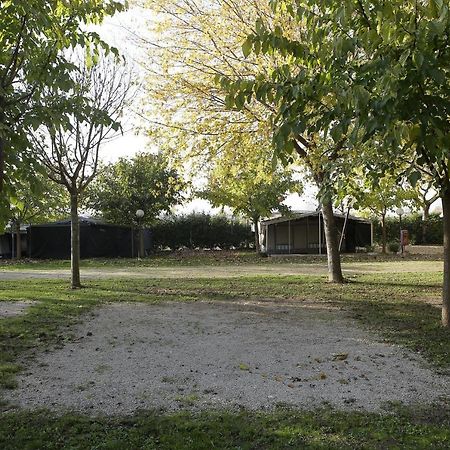 Camping Da Giovanni بسكييرا ديل غاردا المظهر الخارجي الصورة